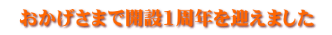 おかげさまで開設1周年を迎えました