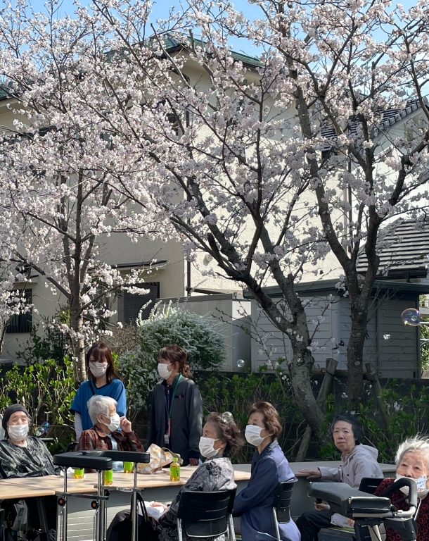 お花見会