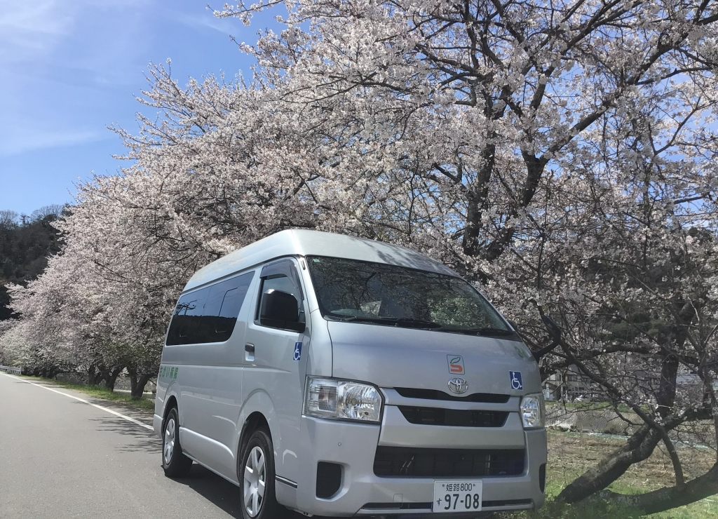 お花見ドライブ