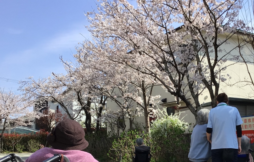 4月　お花見